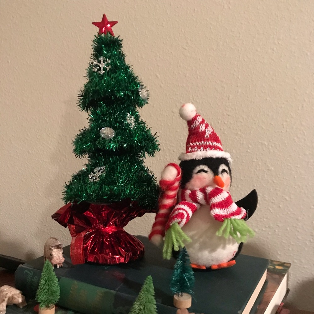 Mystery Christmas Box